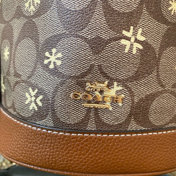 Coach Dempsey In Signature Canvas Leather Snowflake Print, Mini Crossbody bag - Picture 5 of 17
